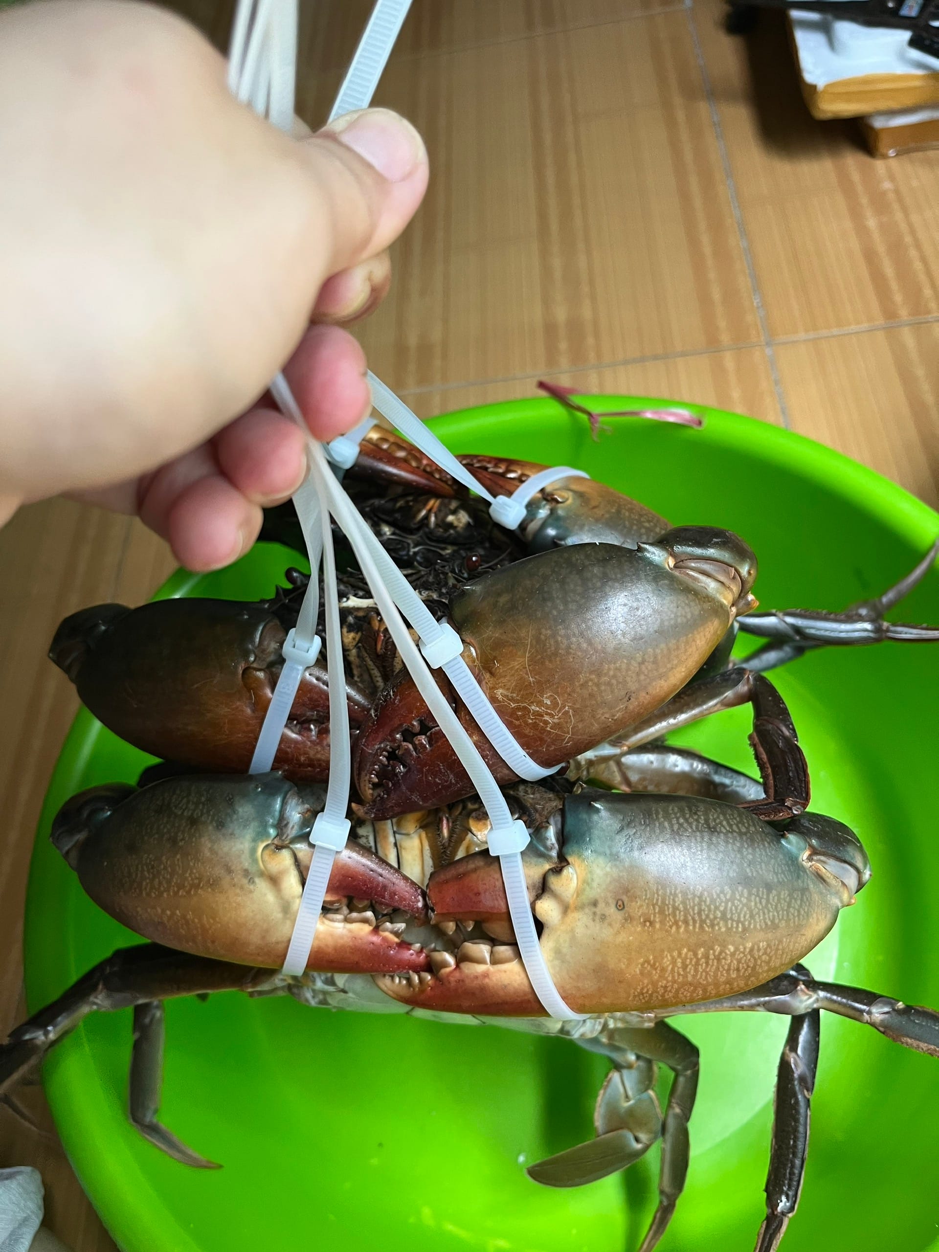 Cua Cà Mau – Tinh Hoa Biển Cả